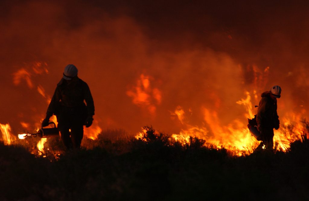 Firefighters fighting wildfire