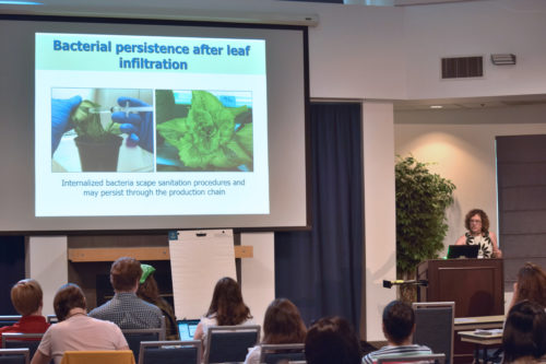 Dr. Maeli Melotto presenting on the genetic components associated with human pathogenic colonization of lettuce