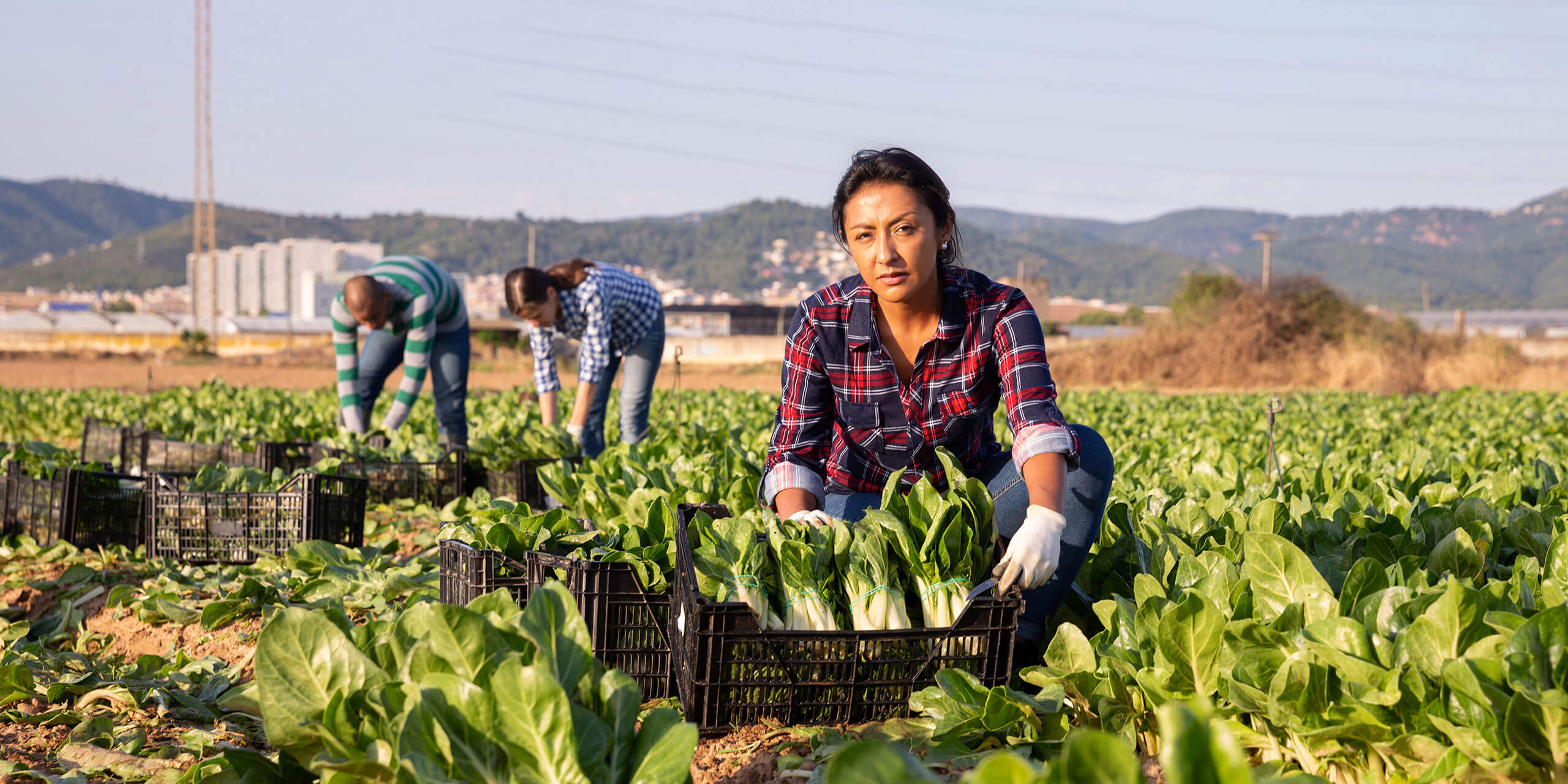 FSMA Produce Safety & Security - UC Davis Western Institute for Food ...